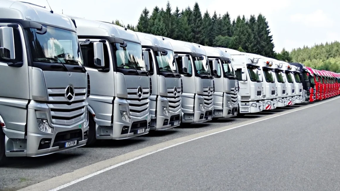 Classificação da Fórmula 1 Atualizada: Tudo que Você Precisa Saber