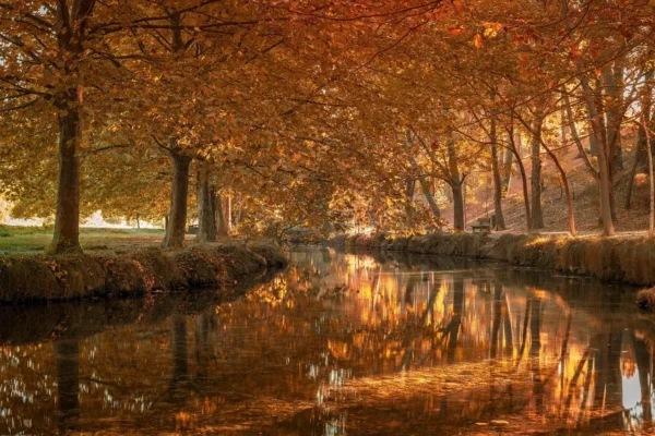 Resultados de Boxe Hoje: Atualizações em Tempo Real