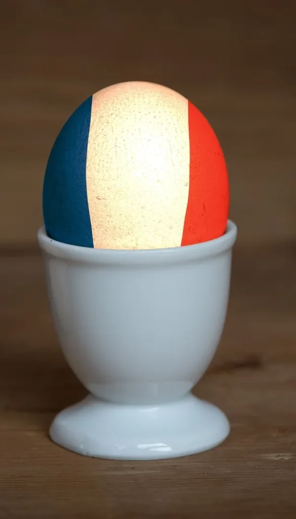 Guia Completo do Hóquei em Patins em Portugal: Tudo o Que Precisas Saber