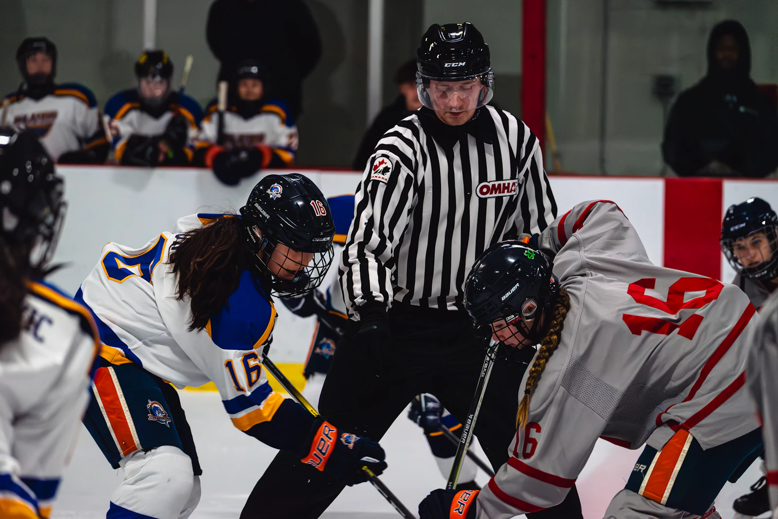 Two hockey players set for a faceoff as the linesman prepares to drop the puck